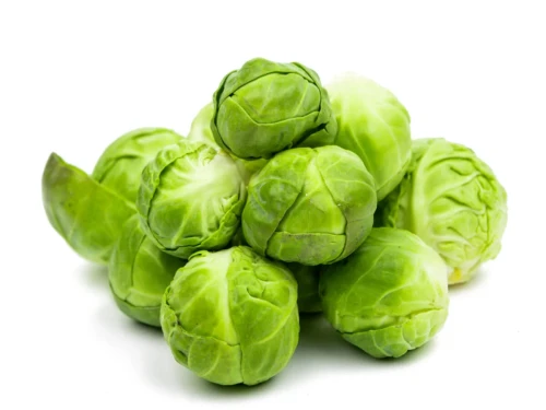 shutterstock-384162043_1000x689-1200x900.webp