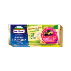 SER TOP KREM SZCZYP Z CEBUL BLOCZEK 90G HOCHLAND