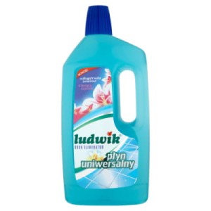 LUDWIK PŁYN CZYSZ UNI 1L KW LAGUNY