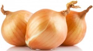cebula kg.jpg