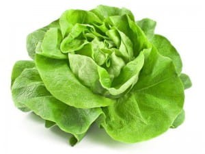 salata szt.jpg