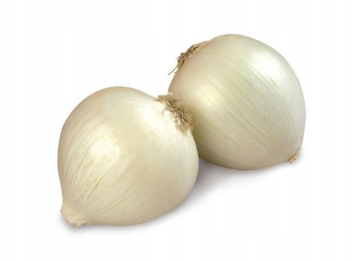 cebula czosnkowa kg.jpg