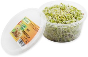 KIEŁKI BROKUŁA ŚWIEŻE BIO 50G