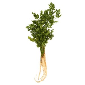 PIETRUSZKA Z NACIĄ PĘCZEK SZT