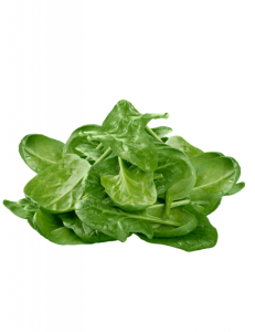 SZPINAK MYTY FIT&EASY 150G A'1